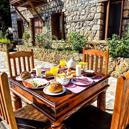 Pigi Tarlampa Hotel Ano Trikala Ngoại thất bức ảnh