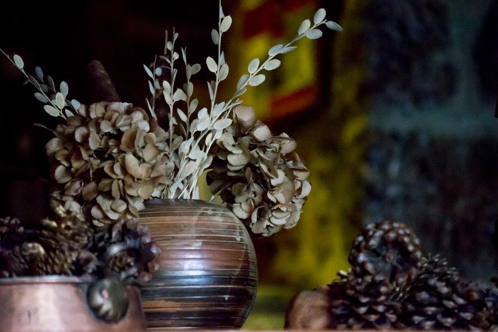 Pigi Tarlampa Hotel Ano Trikala Ngoại thất bức ảnh